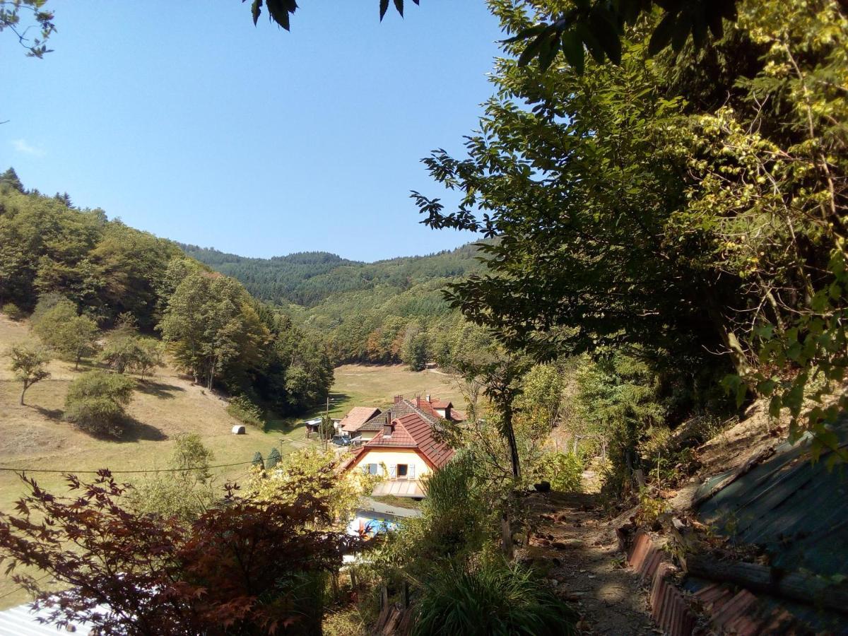 Abri De Jardin Amenage, Chambre Camping Glamour 호텔 Lalaye 외부 사진